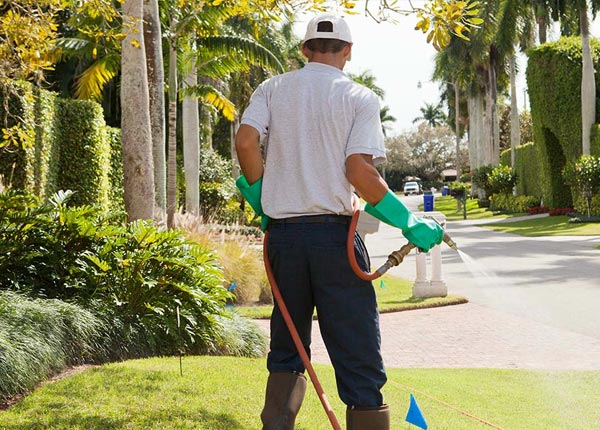 About Kerr OH Pest Control